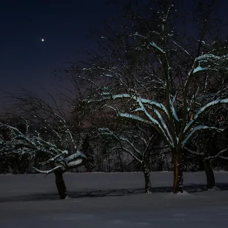 Luxussátor Wiesenbett Unterm Nachthimmel *