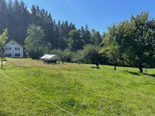 Wiesenbett Unterm Nachthimmel *