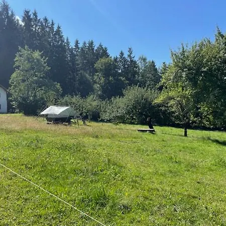 Wiesenbett Unterm Nachthimmel *