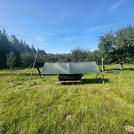 Wiesenbett Unterm Nachthimmel Luxury tent