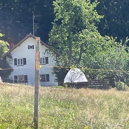 Wiesenbett Unterm Nachthimmel 雷根