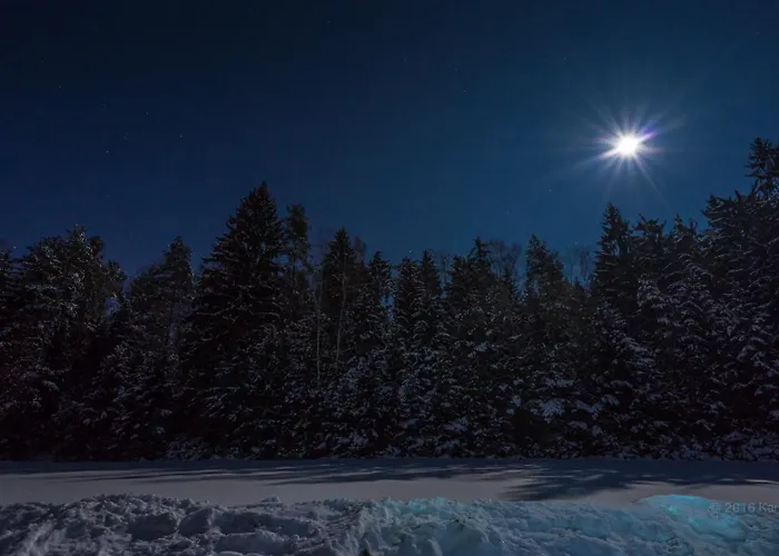 Lyxtält Wiesenbett Unterm Nachthimmel *